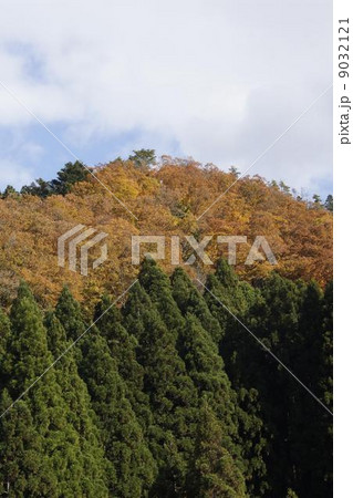 紅葉の山 9032121