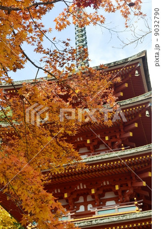 紅葉に埋もれた長谷寺 9032790