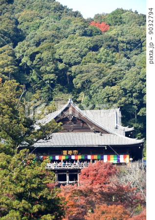 紅葉に埋もれた長谷寺 紅葉に埋もれた長谷寺 9032794