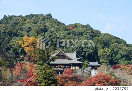 紅葉に埋もれた長谷寺 紅葉に埋もれた長谷寺 9032795