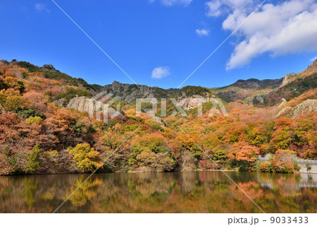 寒霞渓の紅葉 9033433