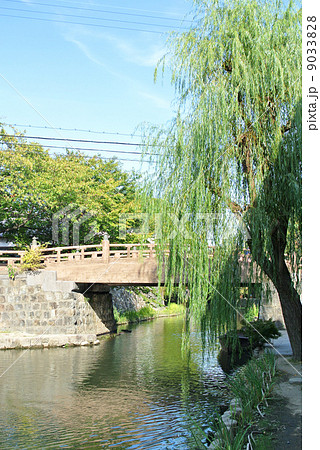 近江八幡の八幡掘の風景01 9033828