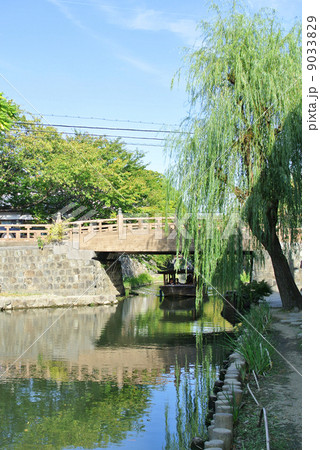 八幡掘巡りの風景01 9033829