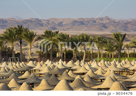 desert in egypt in marsa alam desert in egypt in marsa alam 9034476