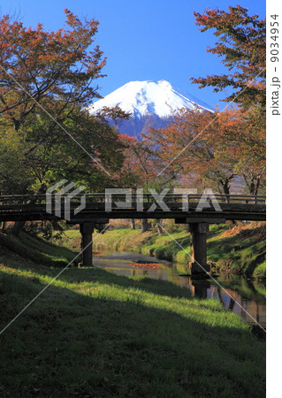 農村風景漂う秋の忍野八海と富士山 9034954