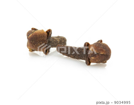 clove spices on white background clove spices on white background 9034995