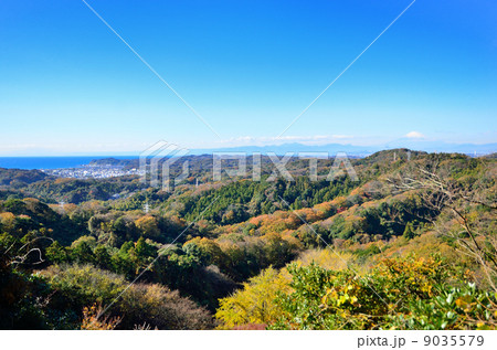 鎌倉　獅子舞の谷 9035579