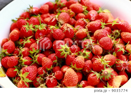 Berries Strawberries in the tray. 9035774