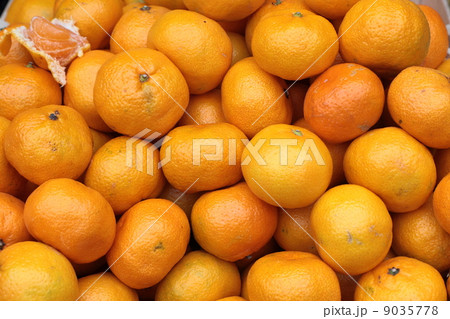 Mountain fruit. Mountain fruit. 9035778