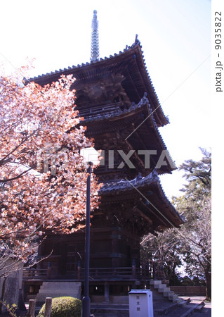 道成寺(和歌山)三重塔に咲く桜 道成寺(和歌山)三重塔に咲く桜 9035822