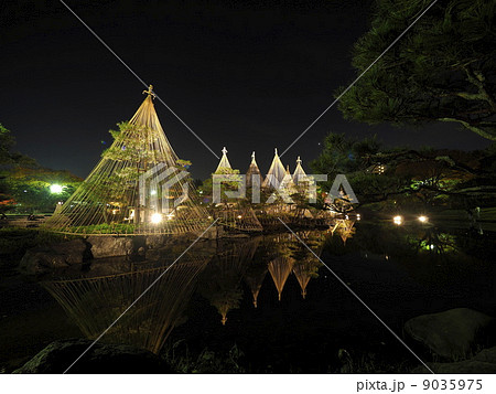 雪吊りライトアップ 雪吊りライトアップ 9035975