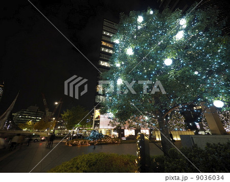 ミッドランドスクエアクリスマスツリー 9036034