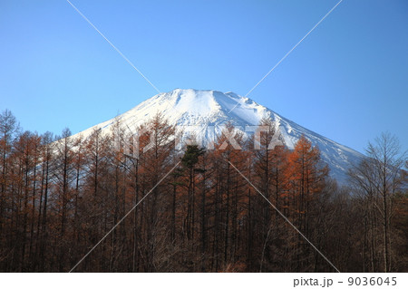 冠雪の富士山 9036045