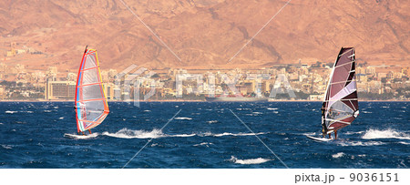 Surfers on the Red Sea. 9036151