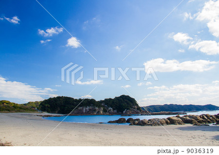 竜串海岸　桜浜 9036319