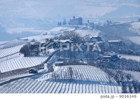 Road through wintry hills and vineyards in Italy. 9036349