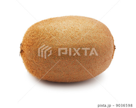 Kiwi Kiwi 9036598