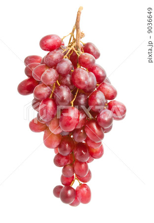 Grapes 9036649