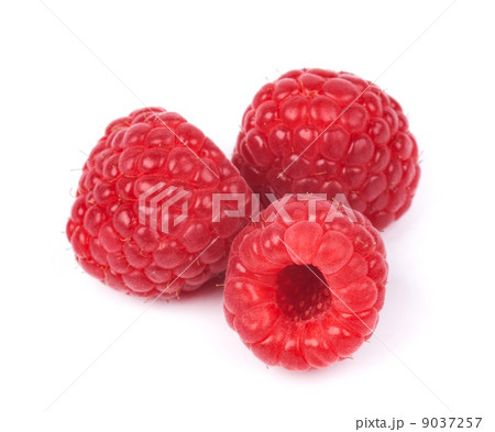 raspberry raspberry 9037257
