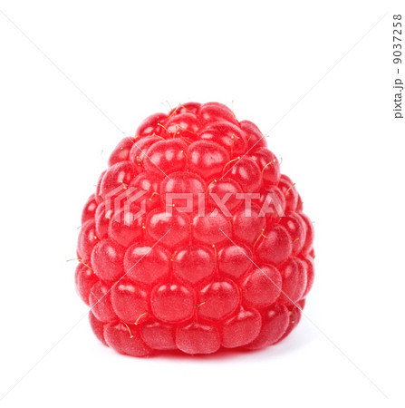 raspberry raspberry 9037258