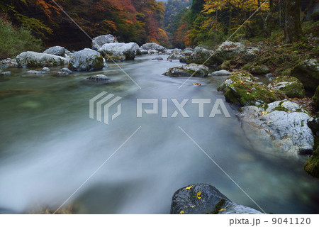 小田深山の渓流（長時間露光） 9041120