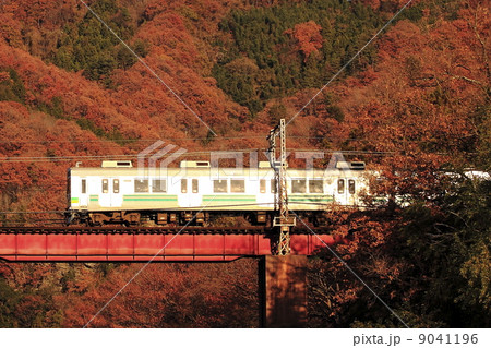 晩秋の秩父鉄道 9041196