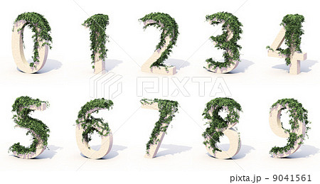 アイビー・ナンバーズ 9041561