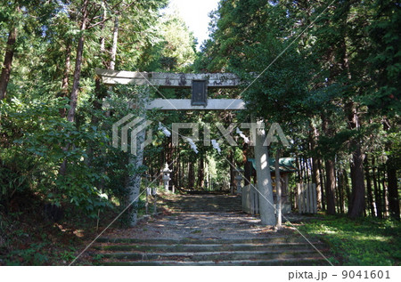 豊川・賀茂神社・鳥居 9041601