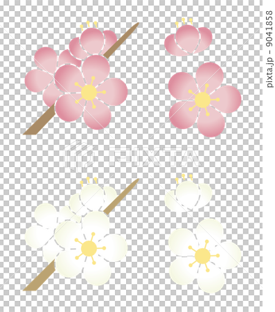 李子開花紅色李子和白色李子 李子開花紅色李子和白色李子 9041858