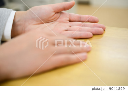 説明する女性 9041899