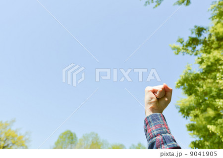 ガッツポーズ 9041905