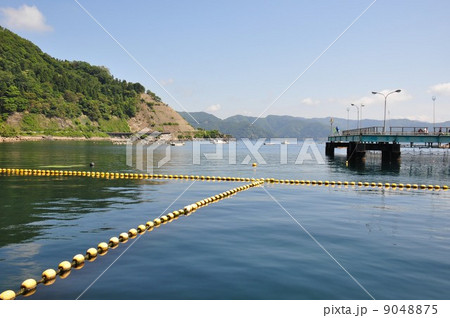 海釣り公園みかた 9048875