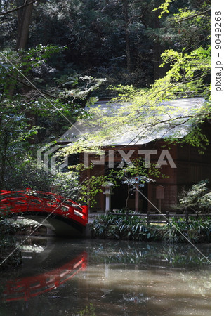 静岡・森町 小國神社 静岡・森町 小國神社 9049268