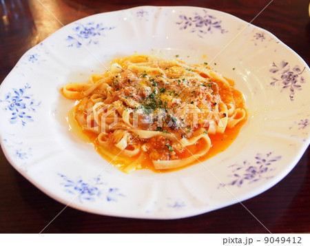 鶏肉のラグーソースパスタ 9049412