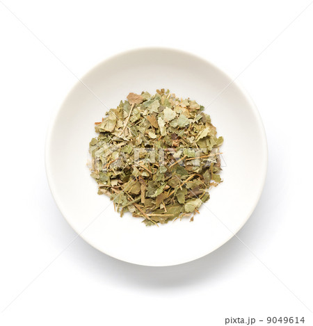 ウィッチヘーゼル 9049614