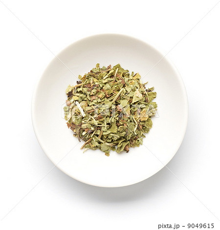 フィーバーフュー 9049615