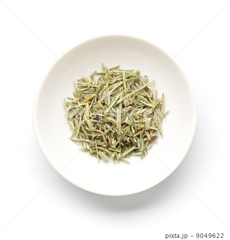 ホーステール 9049622