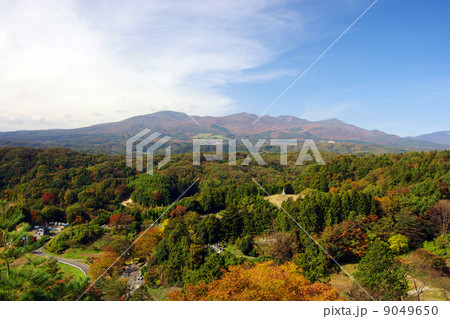 二本松の秋 9049650