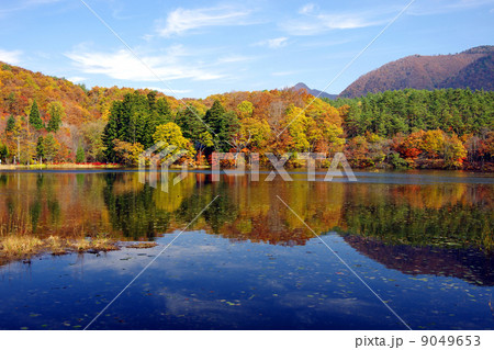 観音沼森林公園 観音沼森林公園 9049653