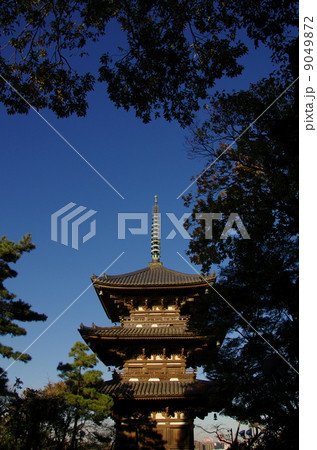 三重塔 三重塔 9049872