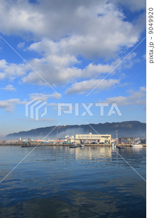 保田漁港と鋸山 保田漁港と鋸山 9049920