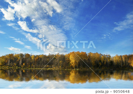 forest reflected in lake 9050648