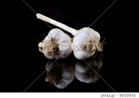garlic bulb garlic bulb 9050958