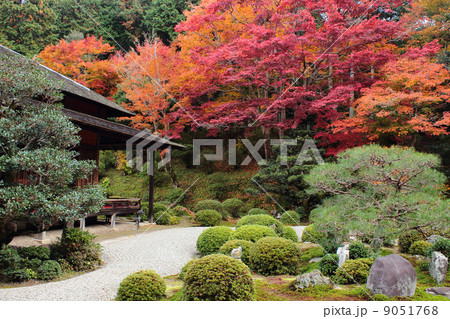 京都　曼殊院門跡　庭園 9051768