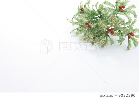 クリスマス　柊　背景 9052590