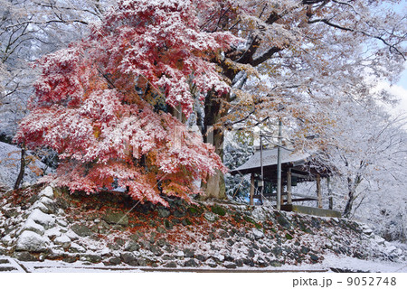 猪苗代城跡 亀ケ城 猪苗代城跡 亀ケ城 9052748