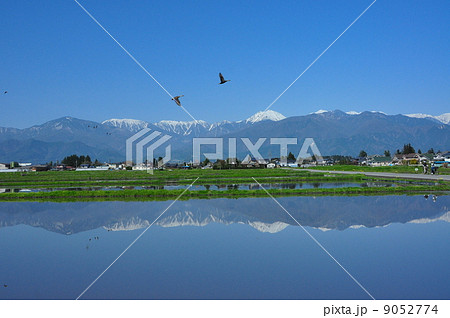 安曇野の田園風景 安曇野の田園風景 9052774