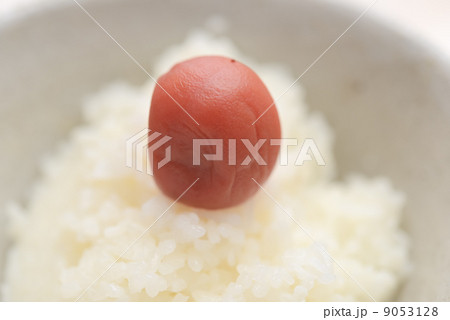 梅干しとご飯 9053128