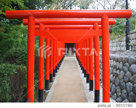法多山尊永寺　二葉神社　鳥居 9055780
