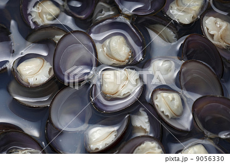 しじみ汁01 9056330